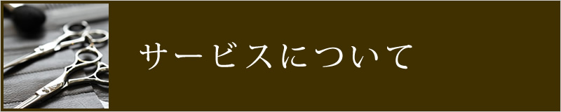 サービスについて